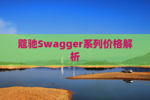 蔻驰Swagger系列价格解析